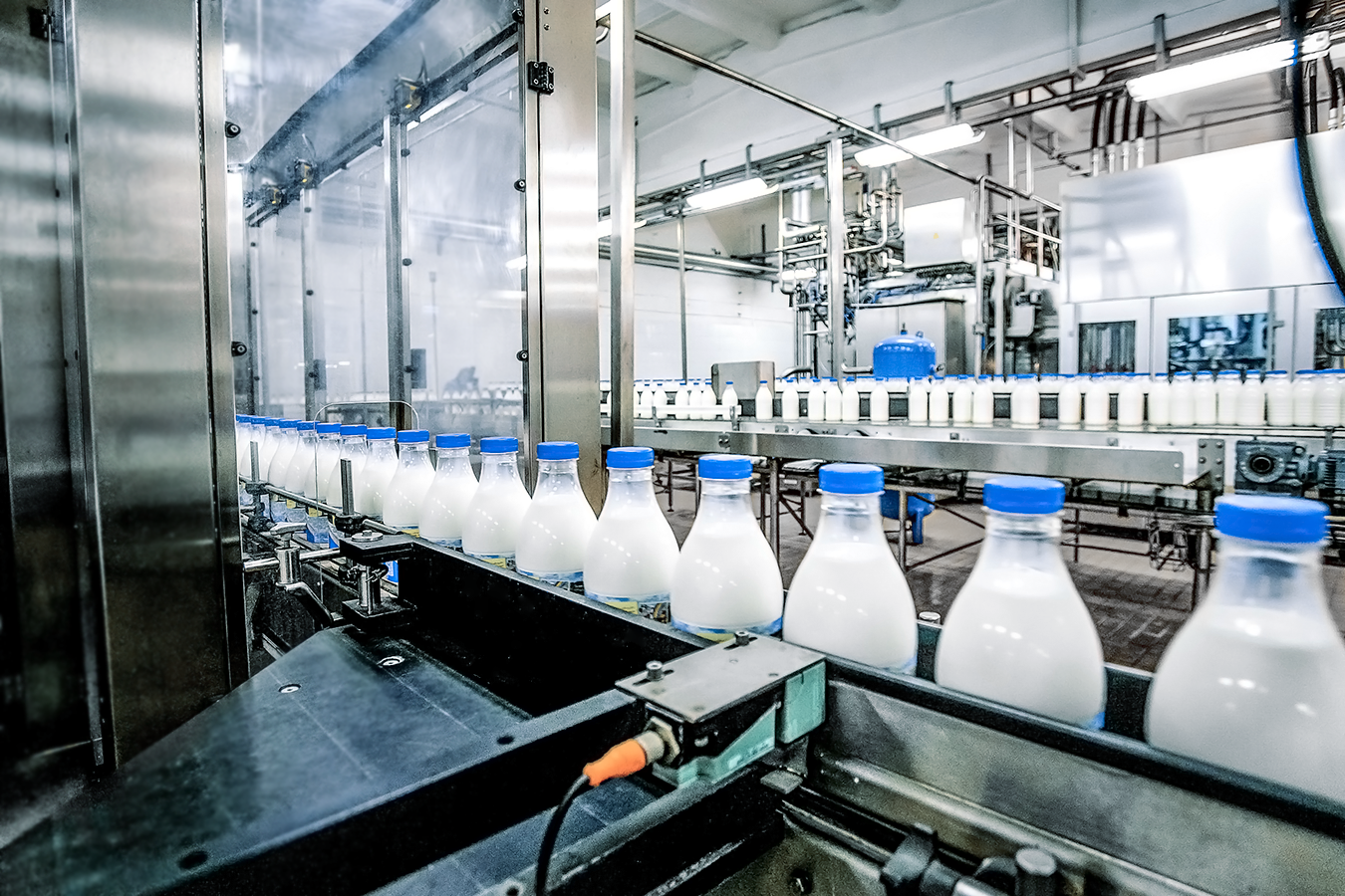 milk-production