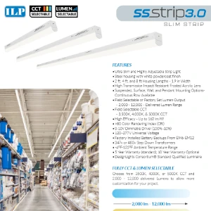 SS3.0 Flyer