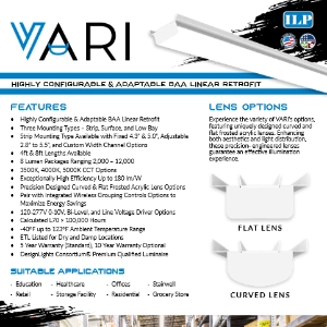 VARI Flyer