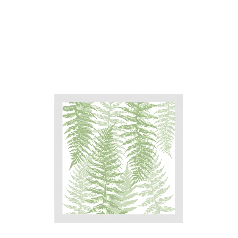 envi Collection